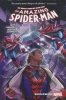 AMAZING SPIDER-MAN WORLDWIDE VOL 01 HC [9781302904067]